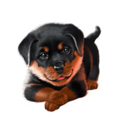 Fun Smile Sticker by Murka Games