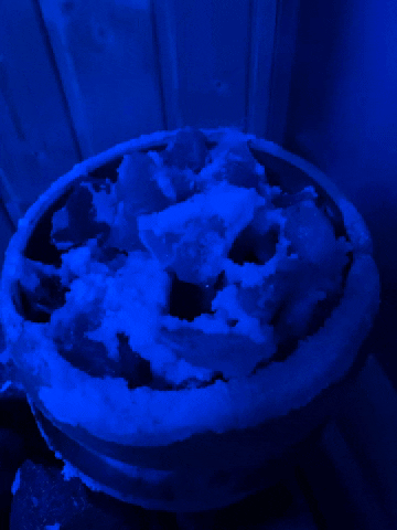 Wellness GIF