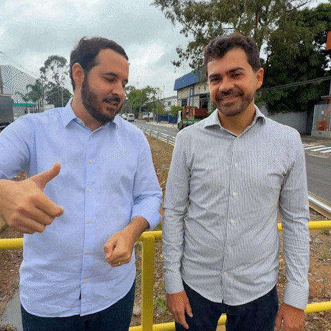 Deputado Estadual GIF