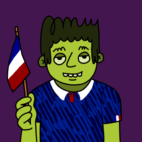 France Football GIF by herbertonic