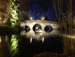 200.gif?cid=fc005b08ae5618372d183b8e512445a08119fa5460a8650c&rid=200.gif&ct=g
