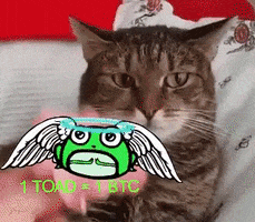 Nft GIF