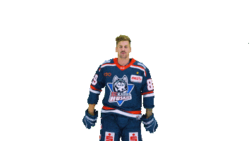 Huskie Sticker by EC Kassel Huskies