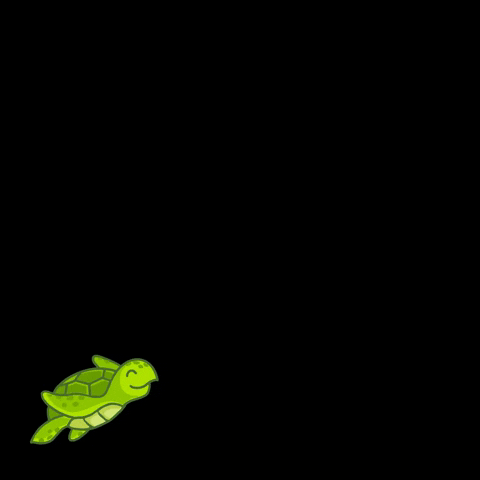 Turtle GIF
