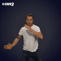 Kung Fu Fighting GIF by SWR3