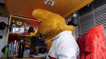 Turn Around What GIF