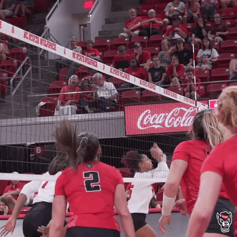 Block Reaction GIF by NC State Athletics