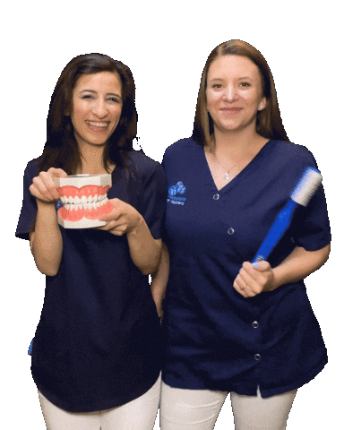 Zahnarztpraxis an der Residenz Sticker