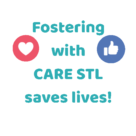 CARE STL Sticker
