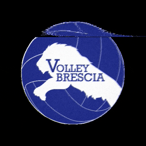 volleybrescia.it GIF