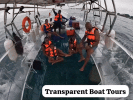 Transparent Boat Tours GIF
