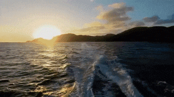 Married At First Sight GIF