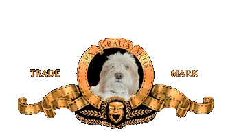 Otto Caneotto Sticker by Estetista Cinica