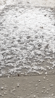 Snow Texas GIF by Storyful