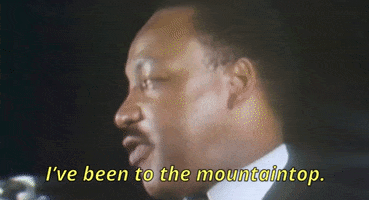 Martin Luther King Jr Memphis GIF by GIPHY News