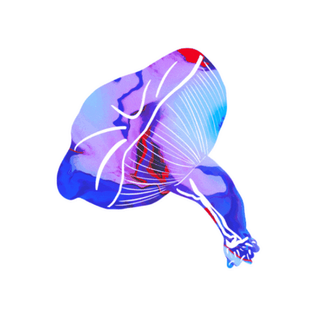 0NETWENTYSIX Sticker