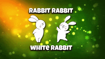 White Rabbit Good Luck GIF by toyfantv