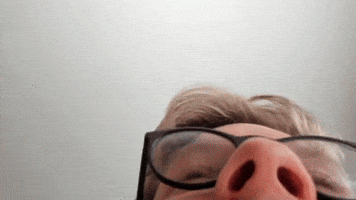 Matt Walden GIF