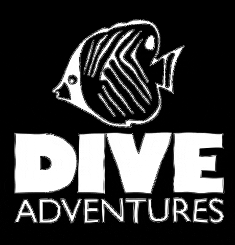 Marine Life Travel GIF by Dive Adventures