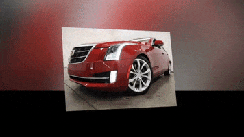 Caddy GIF