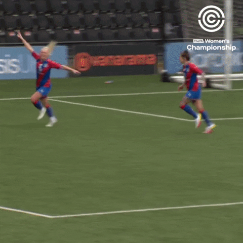 Happy Crystal Palace GIF by FA Women's Championship