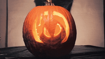 Sac-State halloween pumpkin herky sacstate GIF