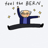 Bernie Sanders Vote GIF by Mia Page