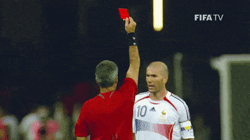 Go World Cup GIF by FIFA