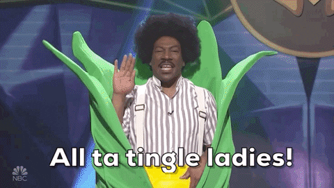 All the single ladies GIFs - Find & Share on GIPHY All the single ladies GIFs - Find & Share on GIPHY