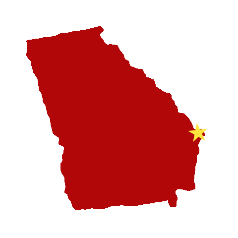 Pizza Georgia Sticker by Donatos