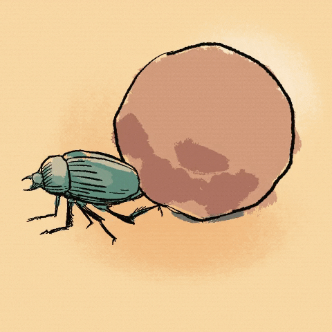 Rolling Dung Beetle GIF