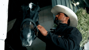 iamhorseracing horse trainer horse racing equine GIF