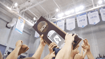 NSU Sharks GIF