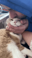 200.gif?cid=fc005b081427a5ffb4752febf1174a55a91e8744615b89b4&rid=200.gif&ct=g