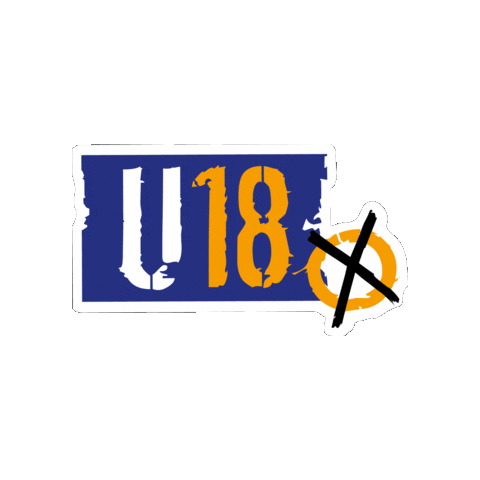 BJR Bayerischer Jugendring Sticker