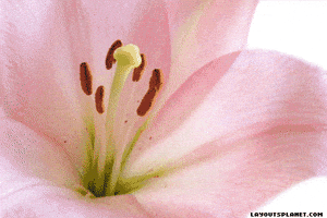 Sorry For Your Loss GIF Sorry For Your Loss GIF