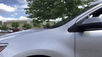 Disappointed Judge GIF