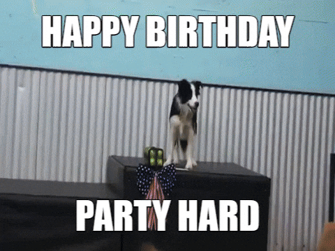 party hard birthday