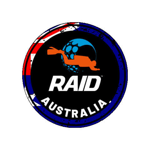 Raid Sticker by DiveRAID