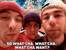 What Do You Want Mca GIF by Beastie Boys