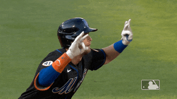 Jeff Mcneil GIF by New York Mets