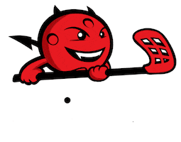 Salibandy Sticker by Liiganaiset