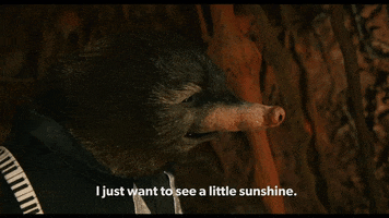 Wes Anderson Mood GIF by Searchlight Pictures
