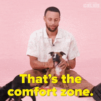 Stephen Curry Basketball GIF by BuzzFeed
