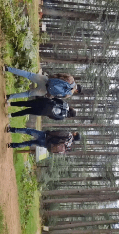 Yoho Travels GIF