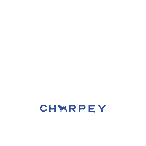 Futebol Copa Sticker by Charpey