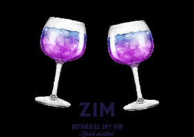 ZimDestilaria zim gin colorido gin que muda de cor o melhor gin do brasil GIF
