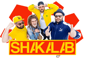 Reggae Dancehall Sticker by shakalab