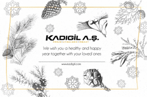 Kadigil insaat GIF