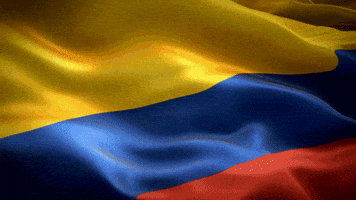 Miss Mundo Colombia GIF by AndreaRomeroBre